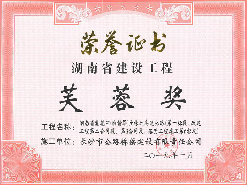 2019年湖南省建設工程芙蓉獎