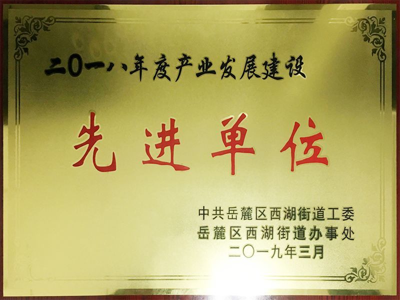 2018年度產(chǎn)業(yè)發(fā)展建設先進(jìn)單位（中共岳麓區西湖街道工委、岳麓區西湖街道辦事處）
